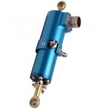 Hydraulic Double Acting Cylinder/RAM/Actuator 25 mm Diamètre x 16 mm Rod