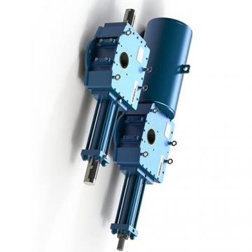 Flowfit Hydraulique Double Effet Micro cylinder/RAM 25x16x100x196mm 71625/100