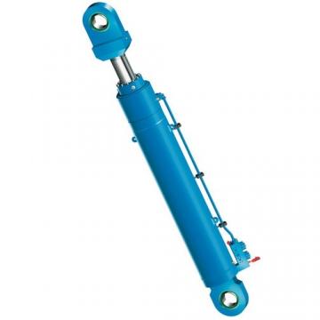 Flowfit Hydraulique SIMPLE EFFET cylinder/RAM 30x300x400mm 630/3