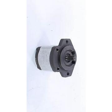 Pompe Hydraulique Bosch 0510525348 pour Fiat / New Holland 466 566 666 800 -